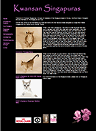 competitely priced website design